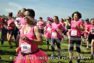 Race for Life Part 3 - June 22, 2014: Around 2,000 ladies took part in the Race for Life for Cancer Research at Sherborne Castle. Photo 8