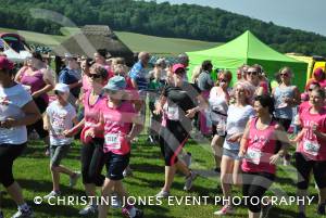 Race for Life Part 3 - June 22, 2014: Around 2,000 ladies took part in the Race for Life for Cancer Research at Sherborne Castle. Photo 13