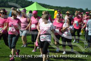 Race for Life Part 3 - June 22, 2014: Around 2,000 ladies took part in the Race for Life for Cancer Research at Sherborne Castle. Photo 23