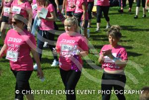 Race for Life Part 3 - June 22, 2014: Around 2,000 ladies took part in the Race for Life for Cancer Research at Sherborne Castle. Photo 22