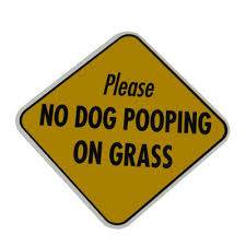 YEOVIL NEWS: Disgusting! Covered in dog mess when cutting grass