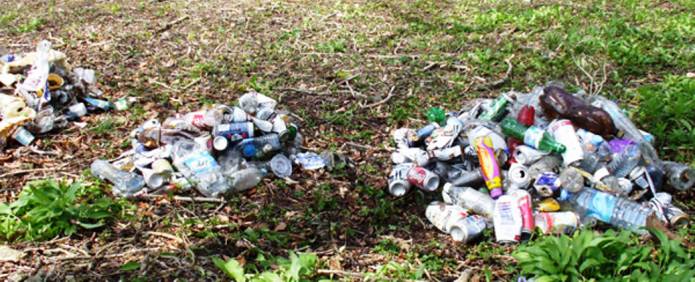 YEOVIL NEWS: Rubbish art will tidy up the town!