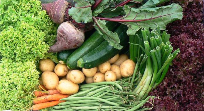 SOUTH SOMERSET NEWS: Vegetables being stolen from allotments