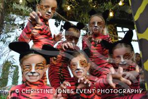 South Petherton Carnival Part 1 - September 2014: There was great fun to be had once again at the annual Carnival in South Petherton Saturday, September 13, 2014. Photo 4