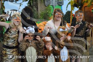 South Petherton Carnival Part 1 - September 2014: There was great fun to be had once again at the annual Carnival in South Petherton Saturday, September 13, 2014. Photo 18