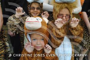 South Petherton Carnival Part 1 - September 2014: There was great fun to be had once again at the annual Carnival in South Petherton Saturday, September 13, 2014. Photo 19