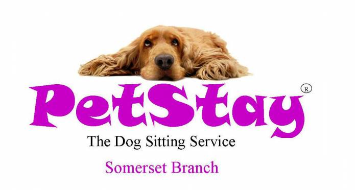SOMERSET NEWS: Giving a dog a home from home