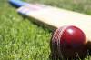 SOUTH SOMERSET NEWS: Vandals burn down nets at cricket club