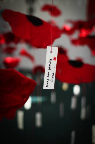 SCHOOL NEWS: Suspended in Memory - a field of poppies created