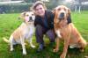 SOUTH SOMERSET NEWS: Nationwide search for new home for Lola and Sherman