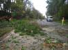 SOMERSET NEWS: Clearing away fallen trees from roads