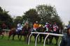 Racing: Boxing Day will be busy at Wincanton