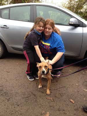 YEOVIL NEWS: From Middlesex to Somerset - stray dog reunited