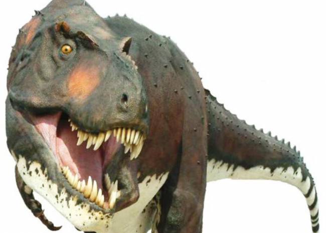 SOUTH SOMERSET NEWS: One of our dinosaurs is missing!