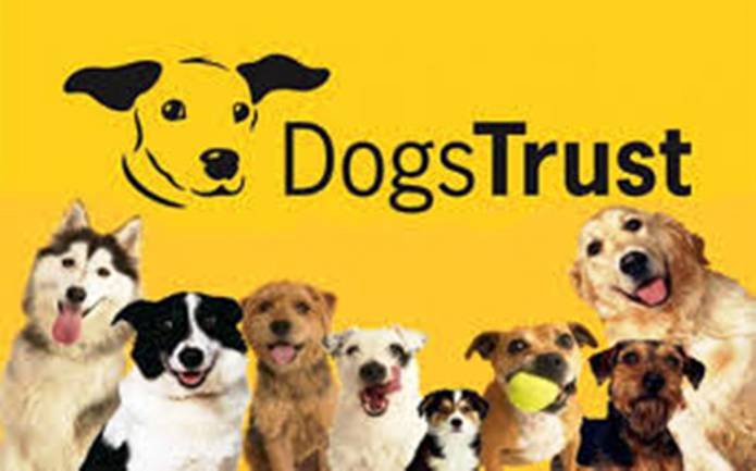 YEOVIL NEWS: Microchipping with the Dogs Trust