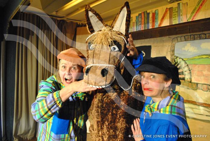 PANTO 2015: Puss in Boots is ready to purr at Montacute
