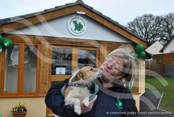 SOUTH SOMERSET NEWS: Dog rehoming centre is officially opened