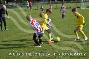 Montacute Youth v East Coker Cockerels Pt 1 – March 7, 2015: Montacute emerged 2-0 winners in their Under-9s Knockout Cup Semi-Final in the Yeovil Minisoccer League.  Photo 18