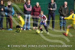 Montacute Youth v East Coker Cockerels Pt 1 – March 7, 2015: Montacute emerged 2-0 winners in their Under-9s Knockout Cup Semi-Final in the Yeovil Minisoccer League.  Photo 21