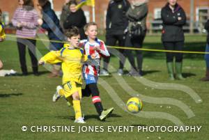 Montacute Youth v East Coker Cockerels Pt 2 – March 7, 2015: Montacute emerged 2-0 winners in their Under-9s Knockout Cup Semi-Final in the Yeovil Minisoccer League.  Photo 16
