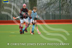 Under-12s county hockey championships - March 2015: Yeovil and Sherborne Hockey Club's Under-12s were crowned Somerset champions after winning a tournament. Here's Yeovil and Sherborne v Taunton CS. Photo 8