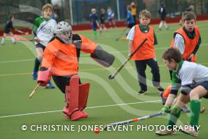 Under-12s county hockey championships - March 2015: Yeovil and Sherborne Hockey Club's Under-12s were crowned Somerset champions after winning a tournament. Chard v Shepton Mallet. Photo 16