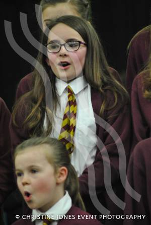 Chard Area Schools Concert Part 2 - March 2015: Young people from schools around the Chard area gathered at Holyrood Academy for a musical concert. Photo 27