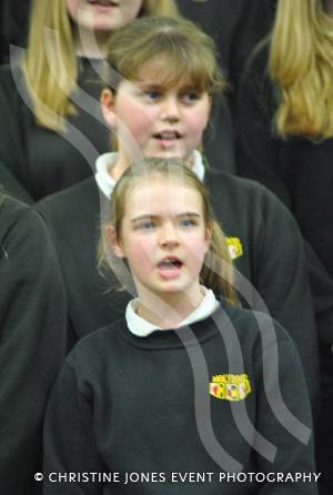 Chard Area Schools Concert Part 3 - March 2015: Young people from schools around the Chard area gathered at Holyrood Academy for a musical concert. Photo 7