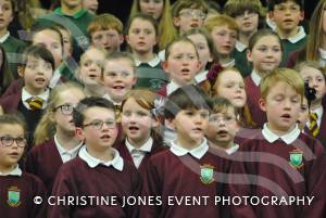 Chard Area Schools Concert Part 3 - March 2015: Young people from schools around the Chard area gathered at Holyrood Academy for a musical concert. Photo 16