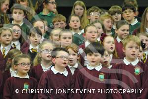 Chard Area Schools Concert Part 3 - March 2015: Young people from schools around the Chard area gathered at Holyrood Academy for a musical concert. Photo 17