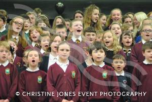Chard Area Schools Concert Part 3 - March 2015: Young people from schools around the Chard area gathered at Holyrood Academy for a musical concert. Photo 19