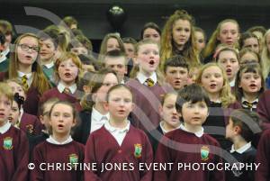 Chard Area Schools Concert Part 3 - March 2015: Young people from schools around the Chard area gathered at Holyrood Academy for a musical concert. Photo 20