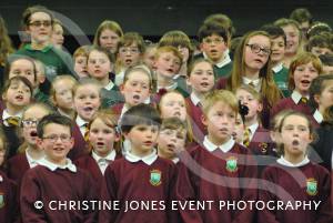 Chard Area Schools Concert Part 3 - March 2015: Young people from schools around the Chard area gathered at Holyrood Academy for a musical concert. Photo 22