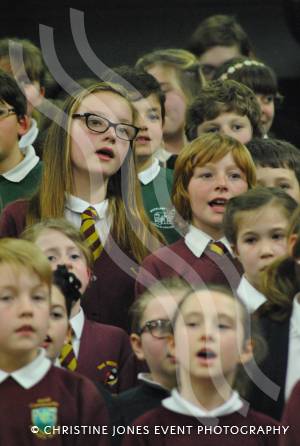Chard Area Schools Concert Part 3 - March 2015: Young people from schools around the Chard area gathered at Holyrood Academy for a musical concert. Photo 25