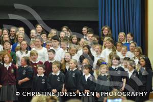Chard Area Schools Concert Part 3 - March 2015: Young people from schools around the Chard area gathered at Holyrood Academy for a musical concert. Photo 27