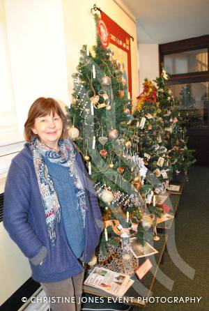 12th Night of Christmas - a festive gallery: Christmas Tree Festival in Chard. Photo 12