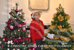 12th Night of Christmas - a festive gallery: Christmas Tree Festival in Chard. Photo 13