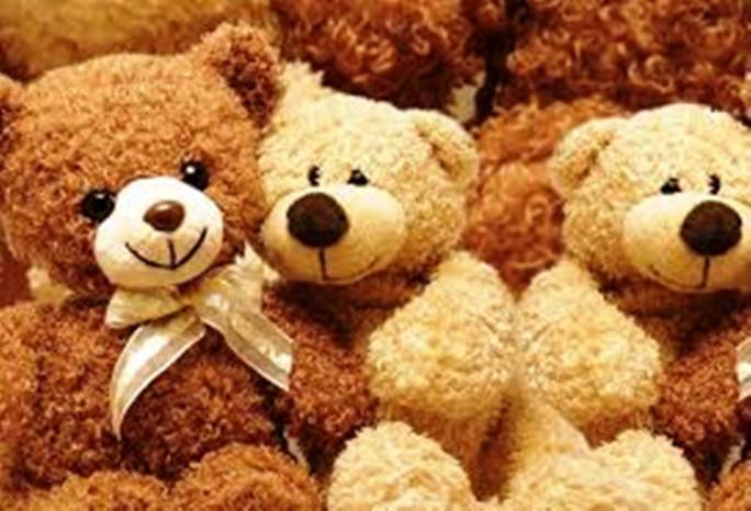 YEOVIL NEWS: Teddy bear's picnic at Country Park
