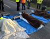 SOMERSET NEWS: Three to appear in court after Hinkley Point protest