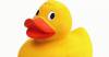 EASTER 2015: Annual duck race in South Petherton
