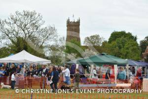 Kingsbury May Festival – May 4, 2015: The crowds came out for a day of fun at the 22nd May Festival held at Kingsbury Episcopi. Photo 15