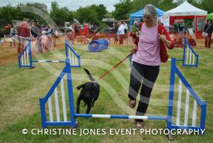 Kingsbury May Festival – May 4, 2015: The crowds came out for a day of fun at the 22nd May Festival held at Kingsbury Episcopi. Photo 16