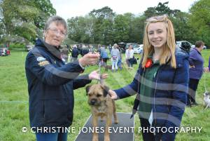 Ilminster Lions Club’s charity dog jamboree – May 10, 2015: The Dillington estate near Ilminster was the scene for a fundraising charity dog jamboree. Photo 6