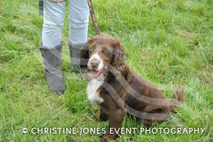 Ilminster Lions Club’s charity dog jamboree – May 10, 2015: The Dillington estate near Ilminster was the scene for a fundraising charity dog jamboree. Photo 10