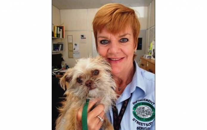 YEOVIL NEWS: Dog left abandoned at country park