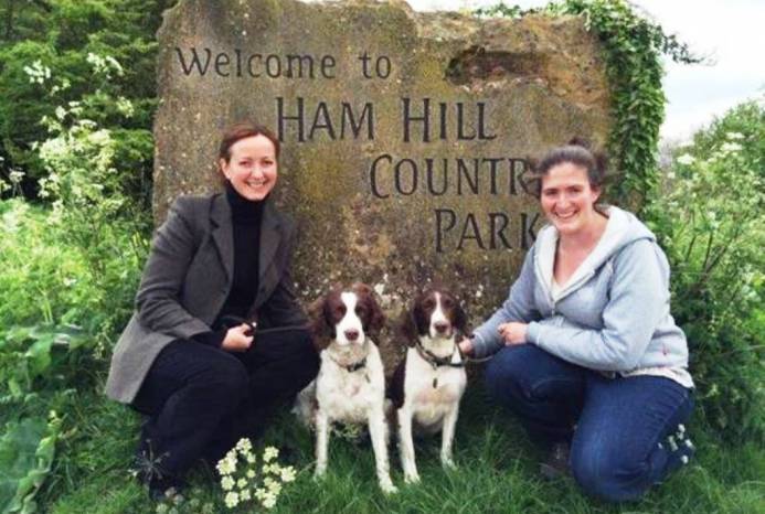 SOUTH SOMERSET NEWS: Fun dog show at Ham Hill Country Park