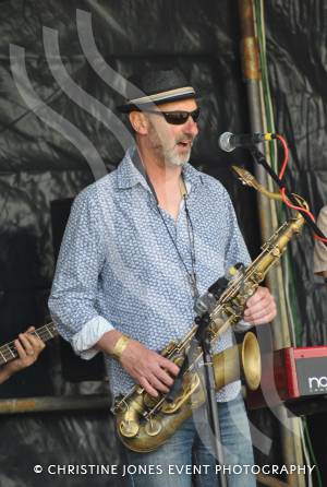 Home Farm Fest 2015 – Day 2 Pt 1 June 6, 2015: The full day of this year’s Home Farm Music Festival at Chilthorne Domer in aid of the Piers Simon Appeal and its School in a Bag initiative. Photo 8