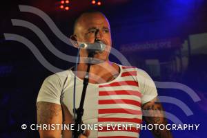 Home Farm Fest 2015 – Day 2 Pt 3 June 6, 2015: The full day of this year’s Home Farm Music Festival at Chilthorne Domer in aid of the Piers Simon Appeal and its School in a Bag initiative. Photo 13