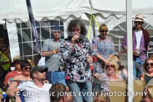 Home Farm Fest 2015 – Day 3 Pt 2 June 7, 2015: The final day of this year’s Home Farm Music Festival at Chilthorne Domer in aid of the Piers Simon Appeal and its School in a Bag initiative. Photo 14