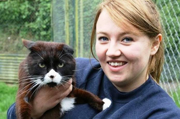 SOUTH SOMERSET NEWS: Homes urgently wanted for cats and kittens
